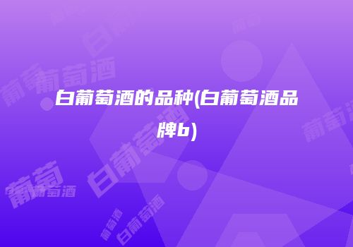 白葡萄酒的品种(白葡萄酒品牌b)