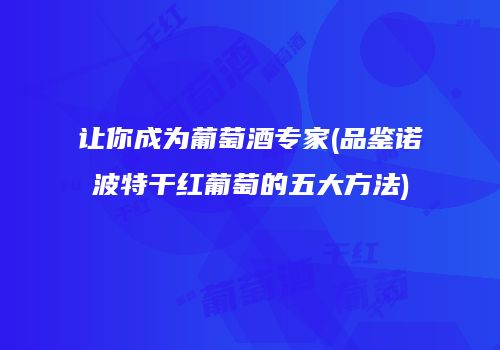 让你成为葡萄酒专家(品鉴诺波特干红葡萄的五大方法)