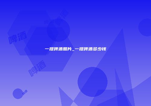 一提啤酒照片_一提啤酒多少钱