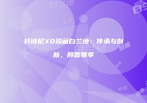 轩诗尼XO珍藏白兰地：传承与创新，醇香尊享