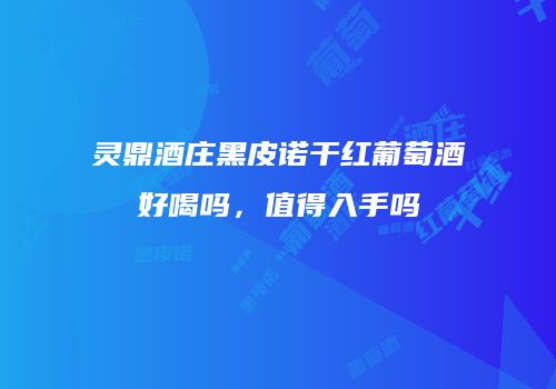 灵鼎酒庄黑皮诺干红葡萄酒好喝吗，值得入手吗