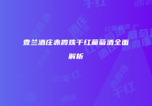 壹兰酒庄赤霞珠干红葡萄酒全面解析