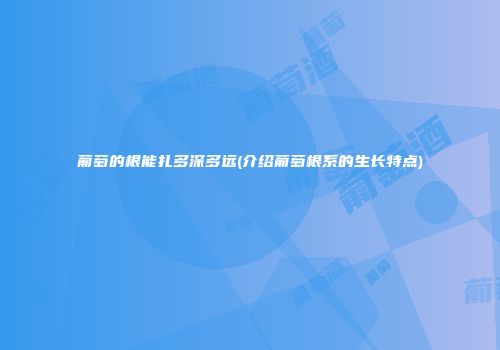 葡萄的根能扎多深多远(介绍葡萄根系的生长特点)