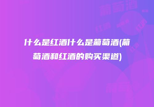 什么是红酒什么是葡萄酒(葡萄酒和红酒的购买渠道)