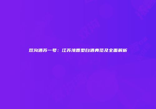 双沟酒苏一号：江苏浓香型白酒典范及全面解析