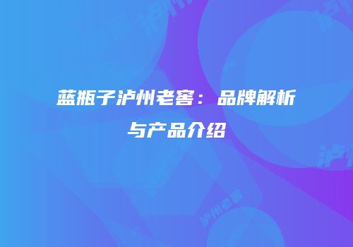 蓝瓶子泸州老窖：品牌解析与产品介绍