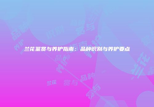 兰花鉴赏与养护指南：品种识别与养护要点