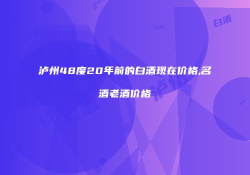 泸州48度20年前的白酒现在价格,名酒老酒价格