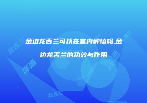 金边龙舌兰可以在室内种植吗,金边龙舌兰的功效与作用