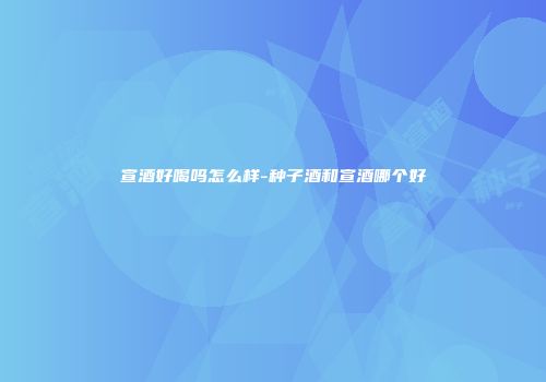 宣酒好喝吗怎么样-种子酒和宣酒哪个好