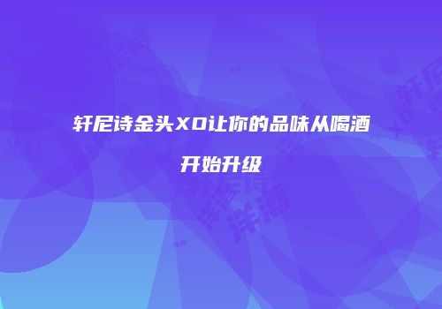 轩尼诗金头XO让你的品味从喝酒开始升级