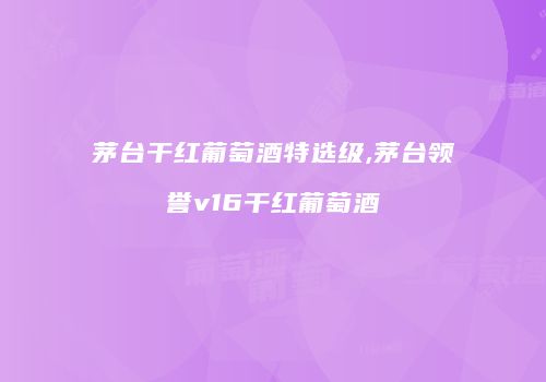 茅台干红葡萄酒特选级,茅台领誉v16干红葡萄酒