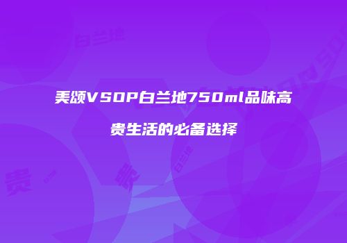 美颂VSOP白兰地750ml品味高贵生活的必备选择