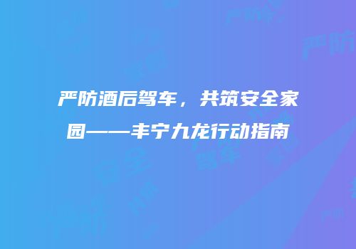 严防酒后驾车，共筑安全家园——丰宁九龙行动指南