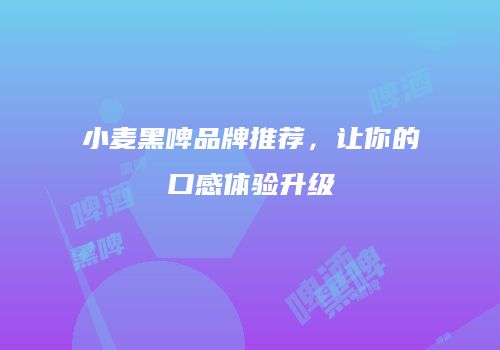 小麦黑啤品牌推荐，让你的口感体验升级