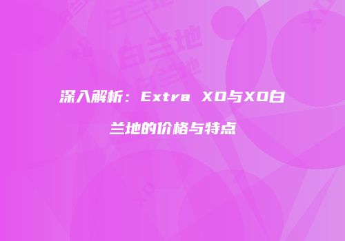 深入解析：Extra XO与XO白兰地的价格与特点