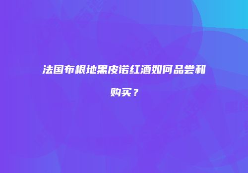 法国布根地黑皮诺红酒如何品尝和购买？