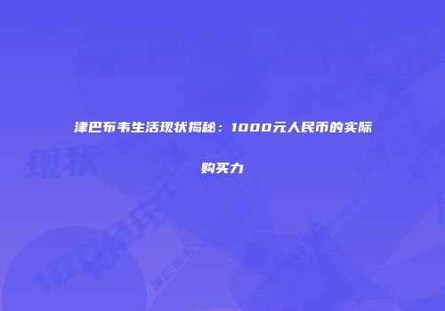 津巴布韦生活现状揭秘：1000元人民币的实际购买力
