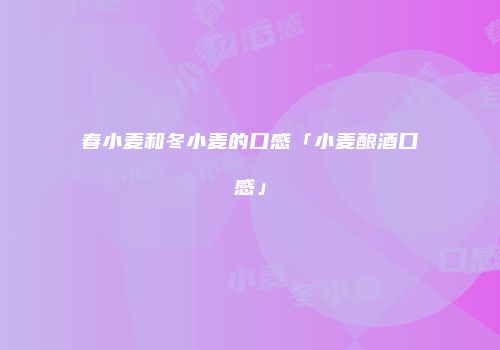 春小麦和冬小麦的口感「小麦酿酒口感」