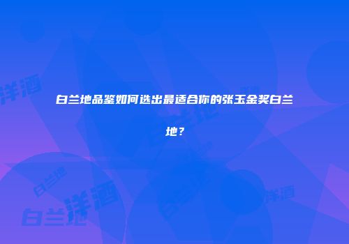白兰地品鉴如何选出最适合你的张玉金奖白兰地？