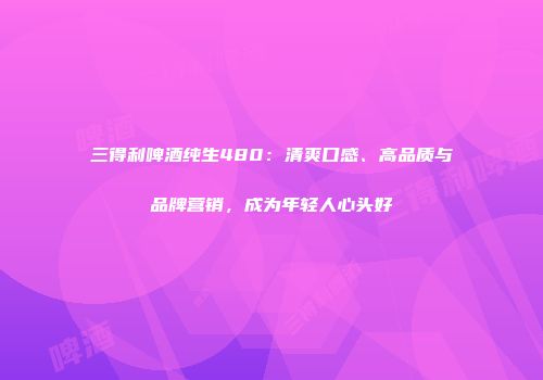 三得利啤酒纯生480：清爽口感、高品质与品牌营销，成为年轻人心头好