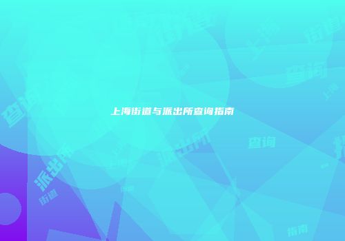 上海街道与派出所查询指南