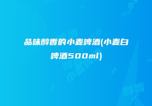 品味醇香的小麦啤酒(小麦白啤酒500ml)