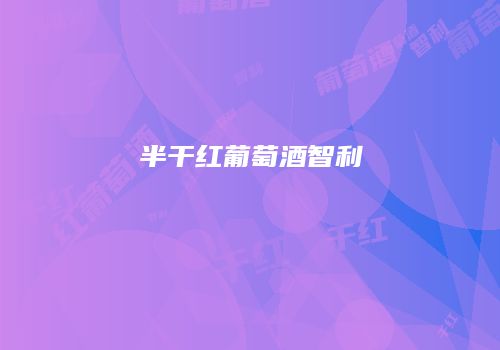 半干红葡萄酒智利