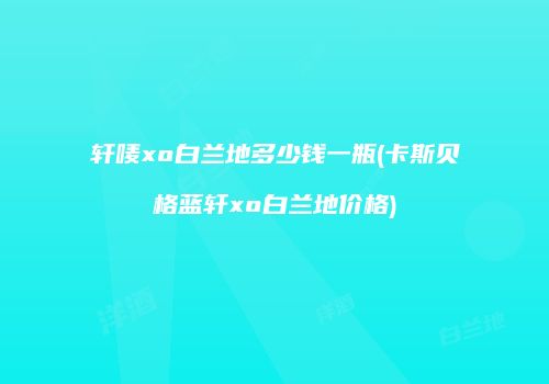 轩唛xo白兰地多少钱一瓶(卡斯贝格蓝轩xo白兰地价格)