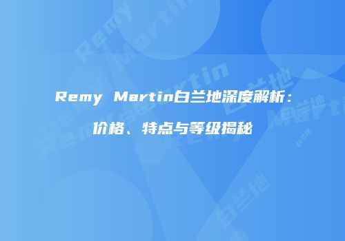 Remy Martin白兰地深度解析：价格、特点与等级揭秘