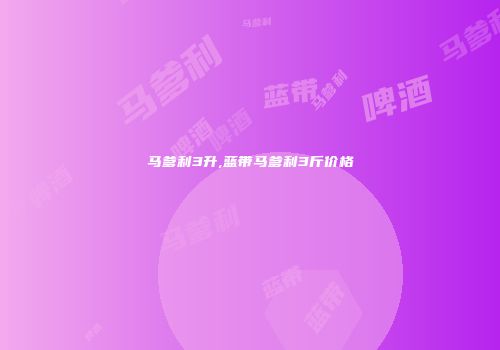 马爹利3升,蓝带马爹利3斤价格