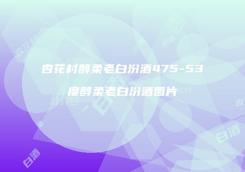 杏花村醇柔老白汾酒475-53度醇柔老白汾酒图片