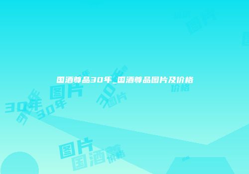 国酒尊品30年_国酒尊品图片及价格
