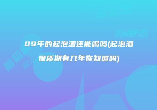 09年的起泡酒还能喝吗(起泡酒保质期有几年你知道吗)