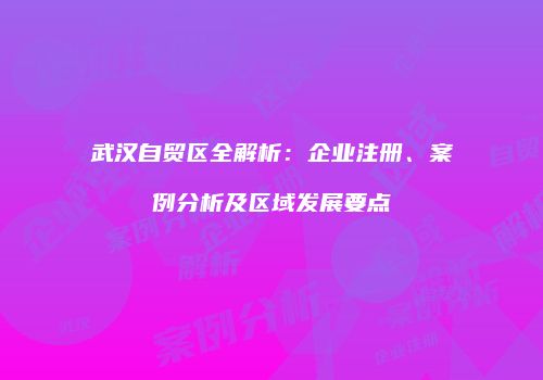 武汉自贸区全解析：企业注册、案例分析及区域发展要点