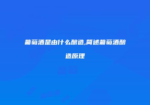 葡萄酒是由什么酿造,简述葡萄酒酿造原理