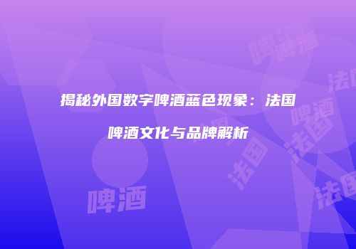 揭秘外国数字啤酒蓝色现象：法国啤酒文化与品牌解析