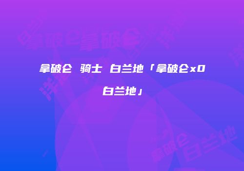 拿破仑 骑士 白兰地「拿破仑x0白兰地」