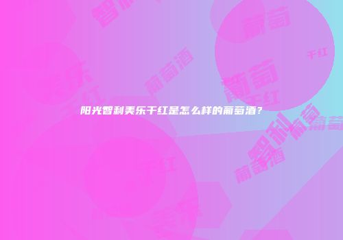 阳光智利美乐干红是怎么样的葡萄酒？