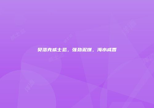 贝洛克威士忌，强劲泥煤，海水咸香
