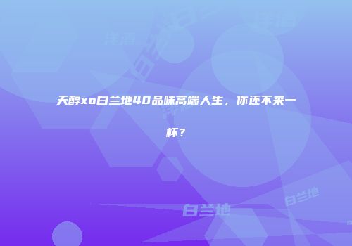 天醇xo白兰地40品味高端人生，你还不来一杯？
