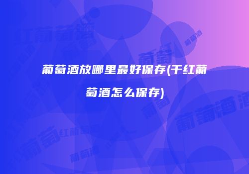 葡萄酒放哪里最好保存(干红葡萄酒怎么保存)