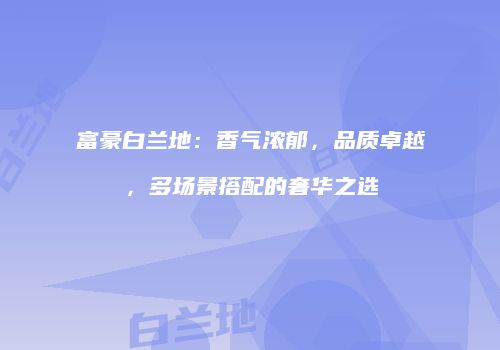 富豪白兰地：香气浓郁，品质卓越，多场景搭配的奢华之选