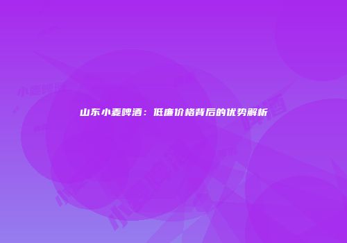 山东小麦啤酒：低廉价格背后的优势解析