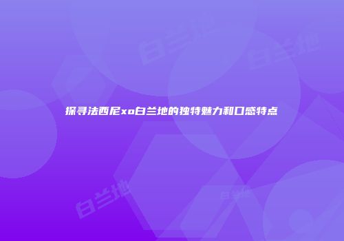 探寻法西尼xo白兰地的独特魅力和口感特点