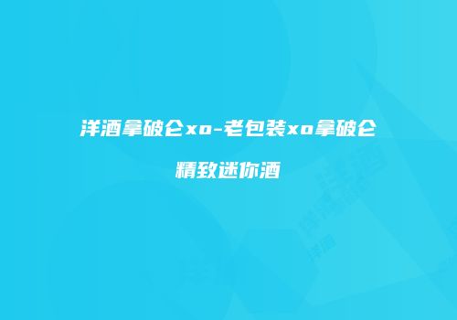 洋酒拿破仑xo-老包装xo拿破仑精致迷你酒