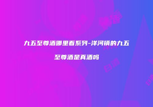 九五至尊酒哪里看系列-洋河镇的九五至尊酒是真酒吗