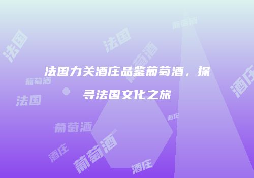 法国力关酒庄品鉴葡萄酒，探寻法国文化之旅