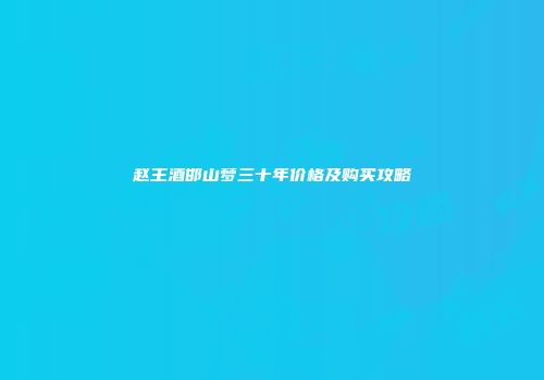 赵王酒邯山梦三十年价格及购买攻略