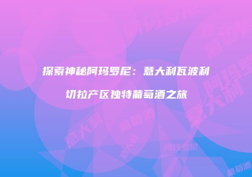 探索神秘阿玛罗尼：意大利瓦波利切拉产区独特葡萄酒之旅